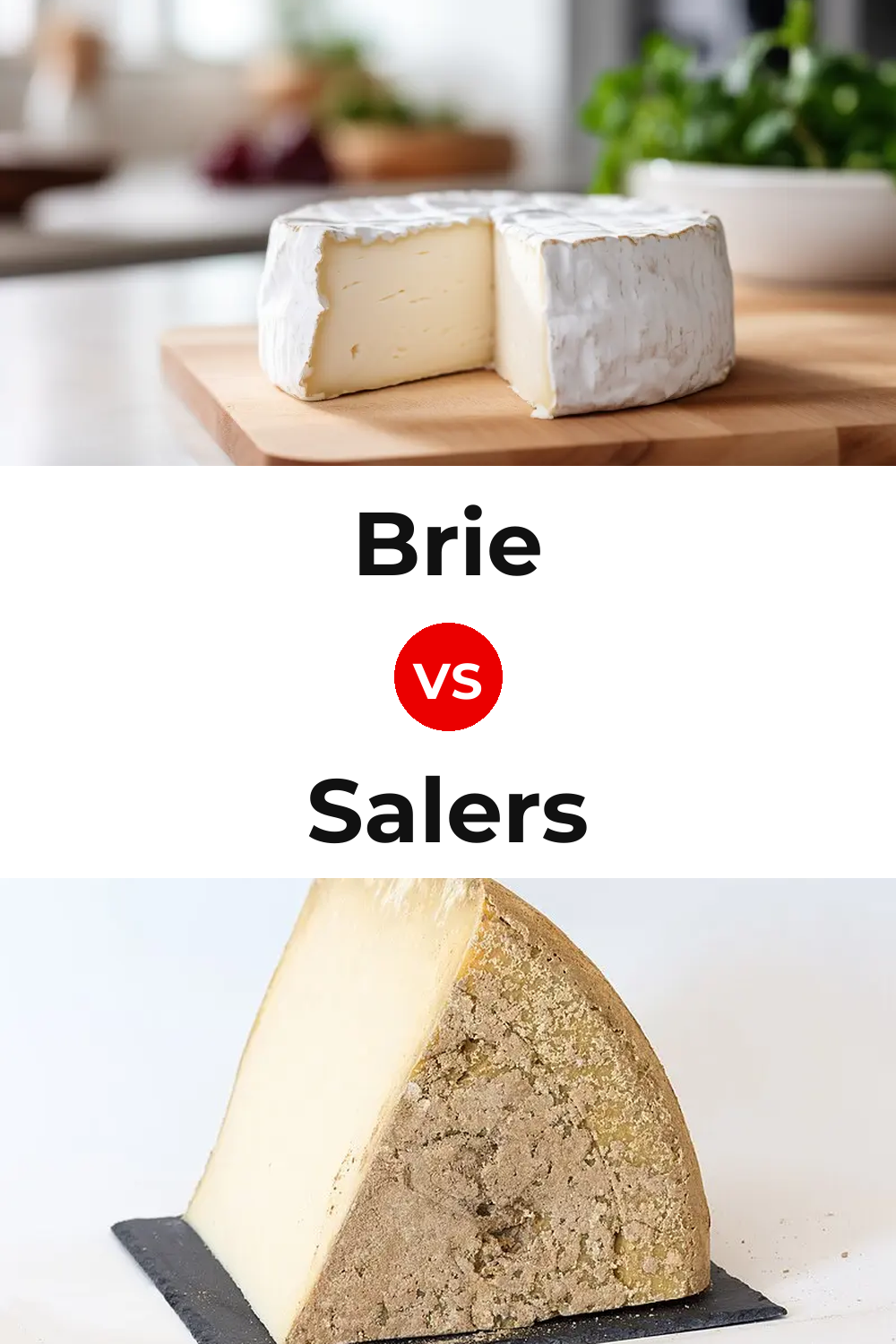 Brie Cheese vs Salers Cheese Pinterest comparison