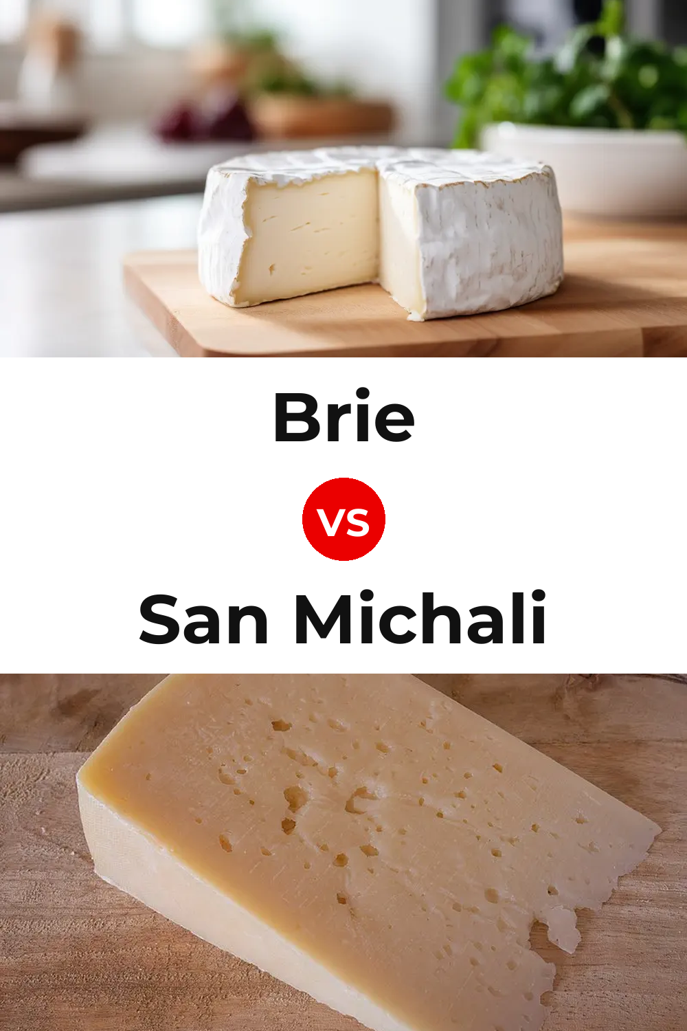 Brie Cheese vs San Michali Cheese Pinterest comparison
