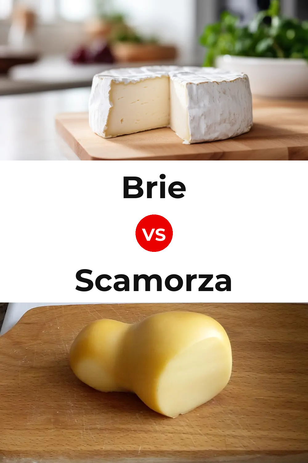 Brie Cheese vs Scamorza Cheese Pinterest comparison