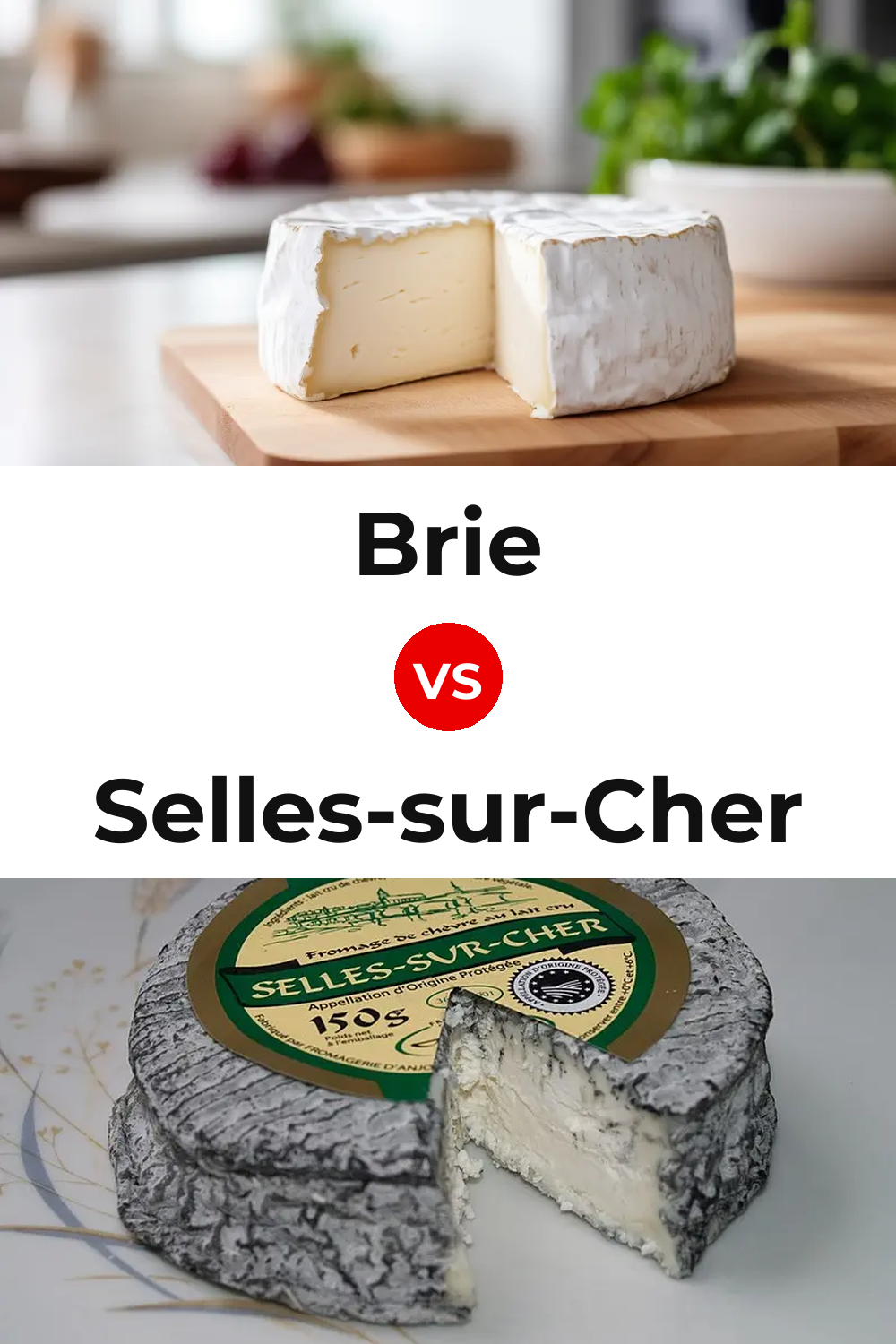 Brie Cheese vs Selles-sur-Cher Cheese Pinterest comparison