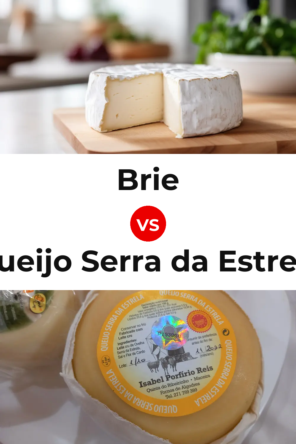 Brie Cheese vs Queijo Serra da Estrela Pinterest comparison
