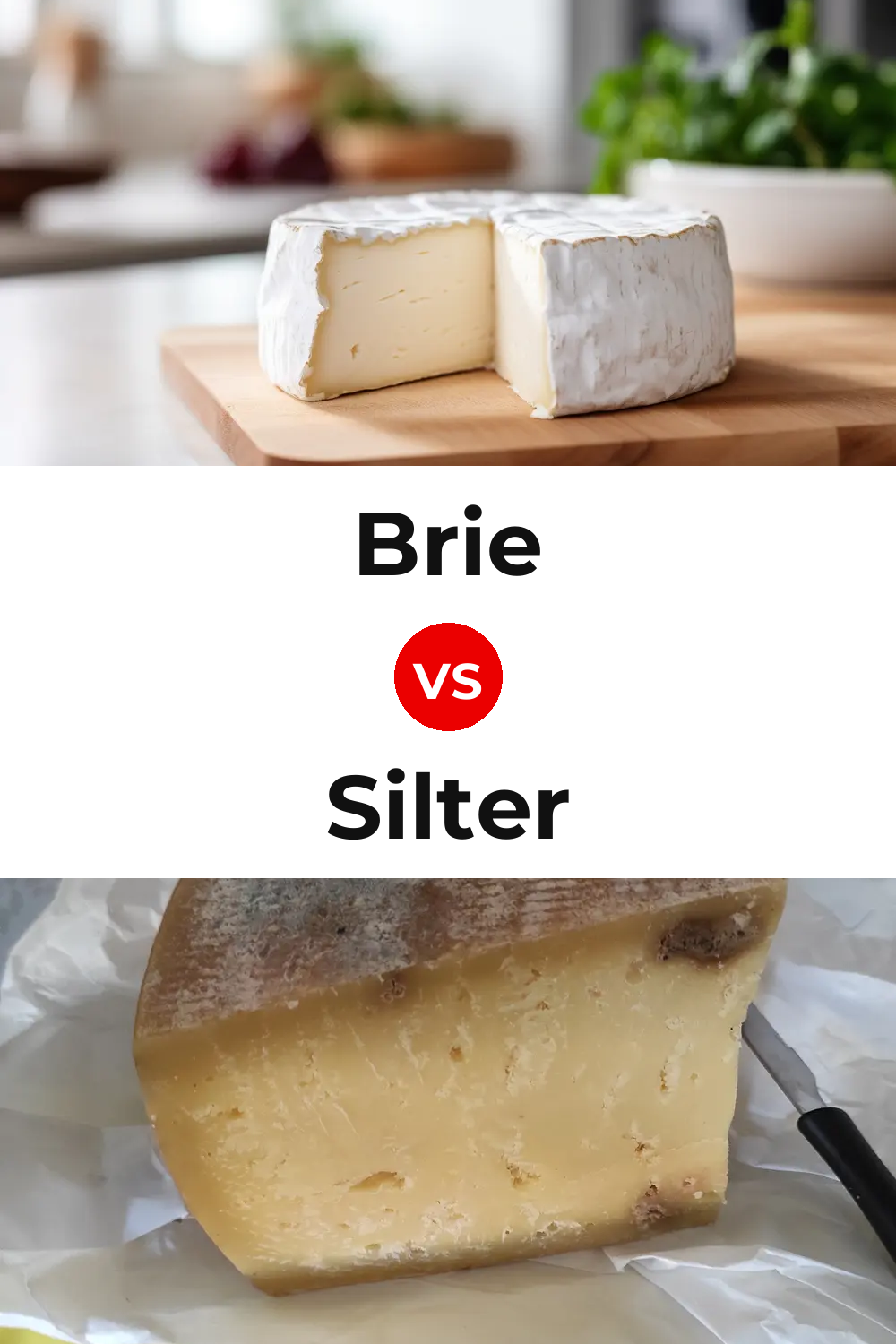 Brie Cheese vs Silter Cheese Pinterest comparison