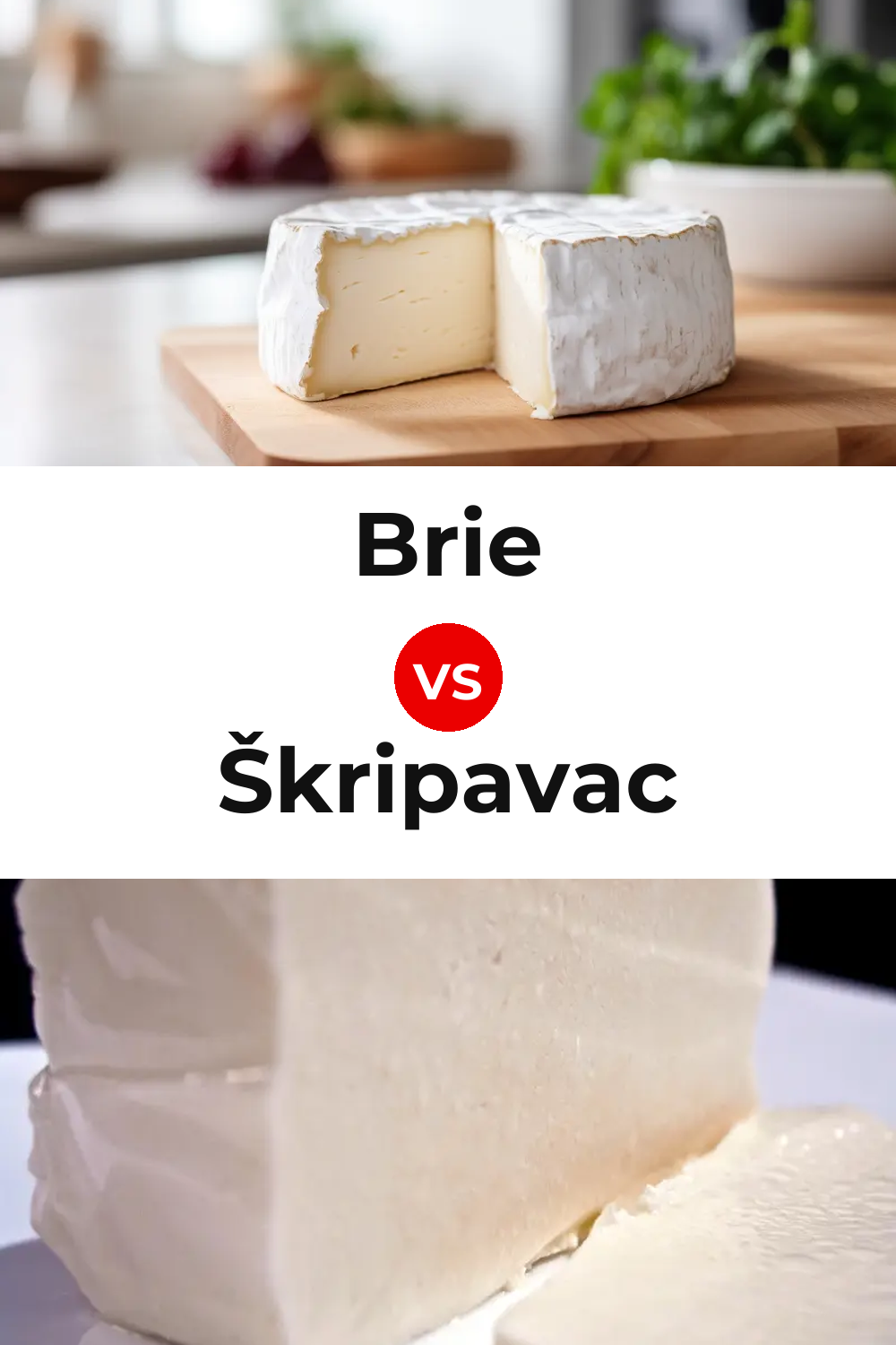 Brie Cheese vs Škripavac Cheese Pinterest comparison