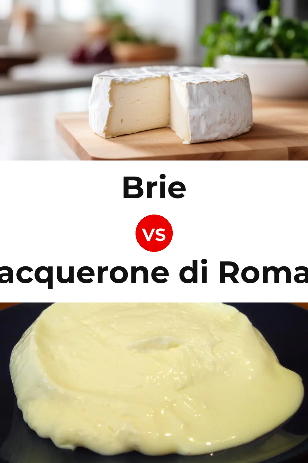 Brie Cheese vs Squacquerone di Romagna Cheese Pinterest comparison