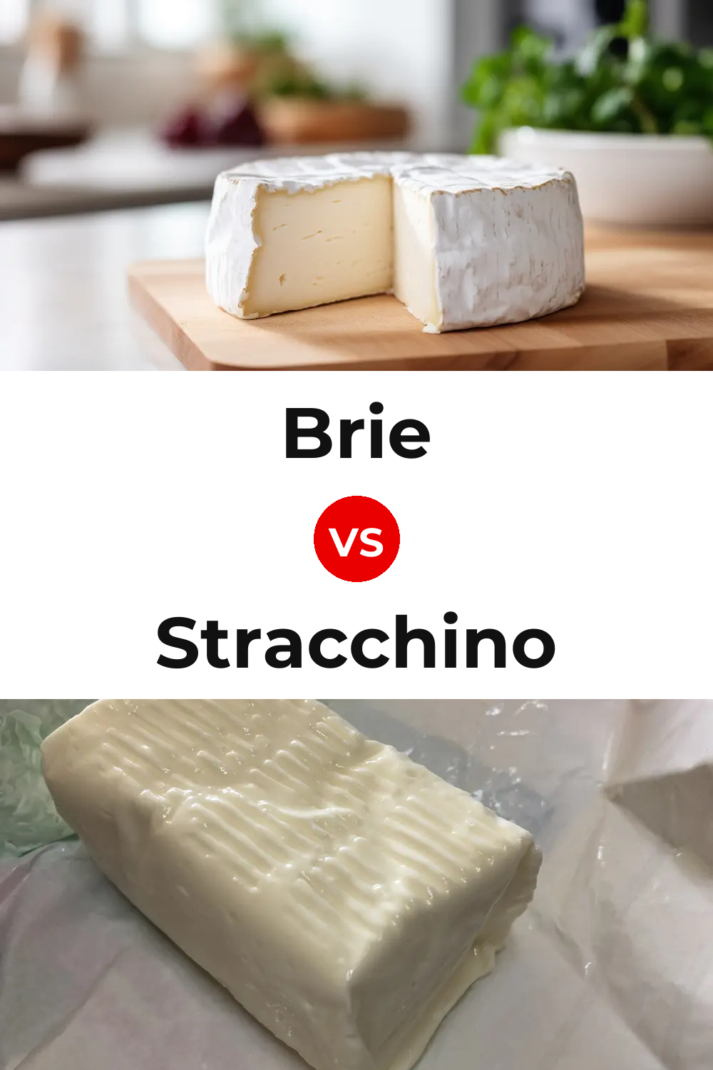Brie Cheese vs Stracchino Cheese Pinterest comparison