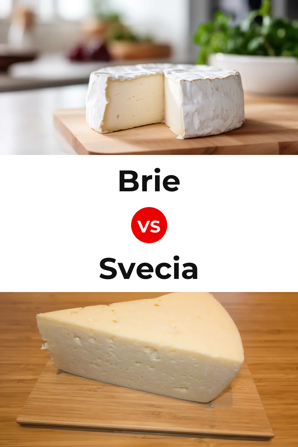 Brie Cheese vs Svecia Cheese Pinterest comparison