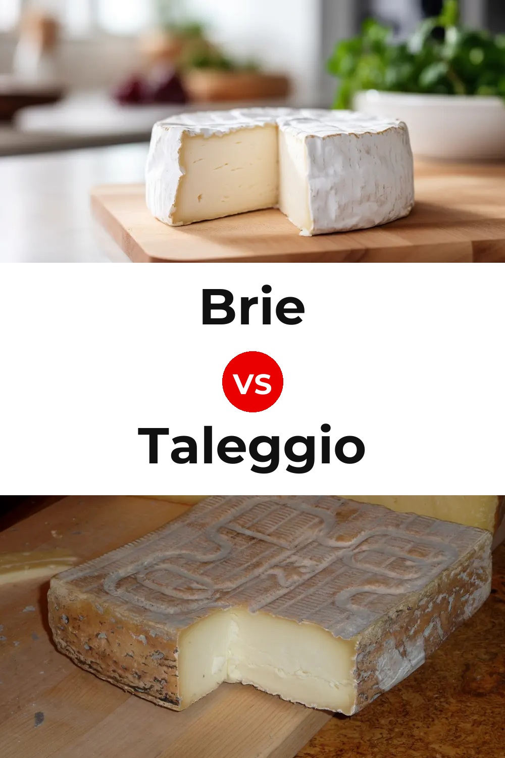 Brie Cheese vs Taleggio Cheese Pinterest comparison