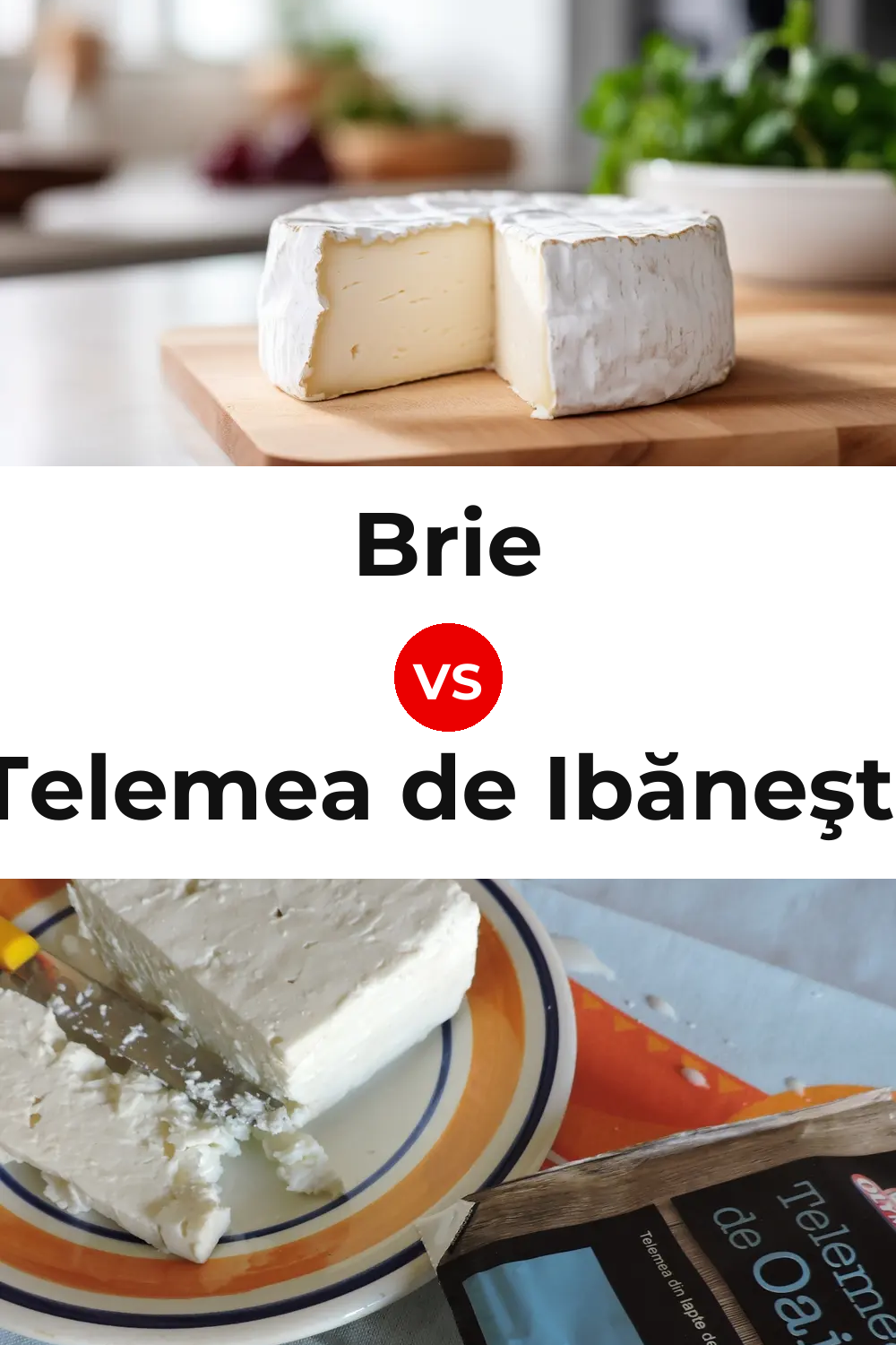 Brie Cheese vs Telemea de Ibăneşti Cheese Pinterest comparison