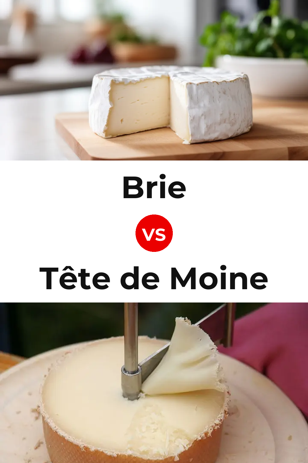 Brie Cheese vs Tête de Moine Cheese Pinterest comparison