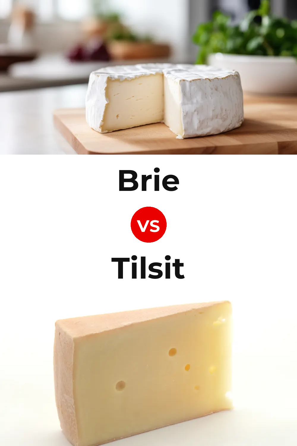 Brie Cheese vs Tilsit Cheese Pinterest comparison