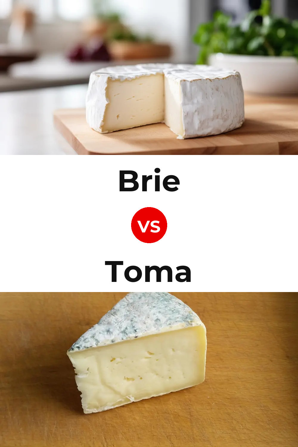 Brie Cheese vs Toma Cheese Pinterest comparison