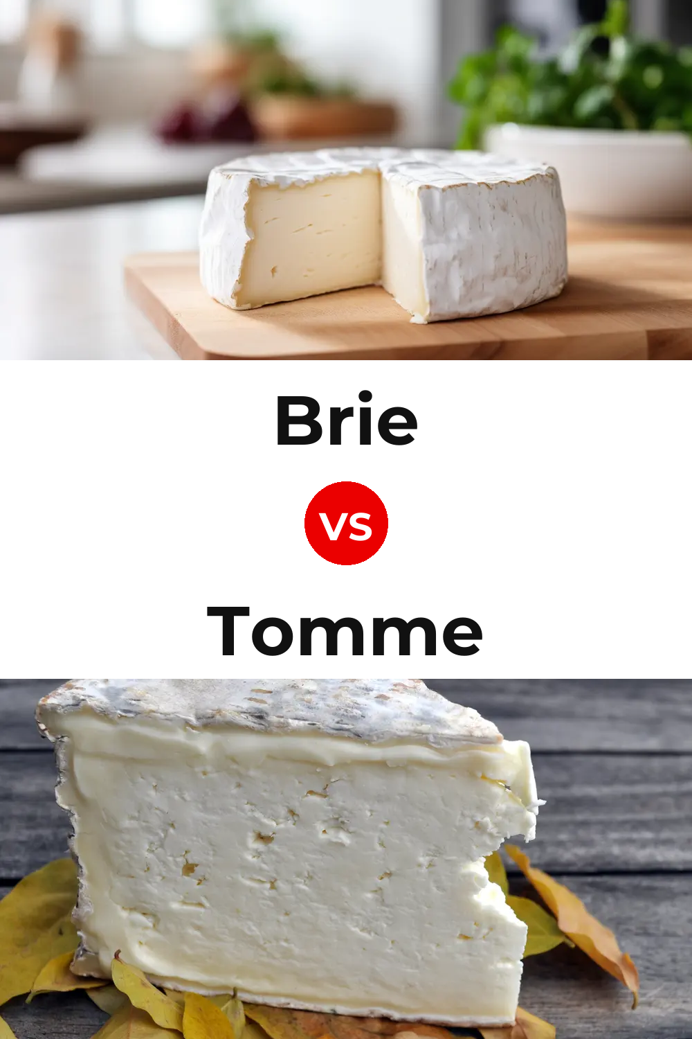 Brie Cheese vs Tomme Cheese Pinterest comparison