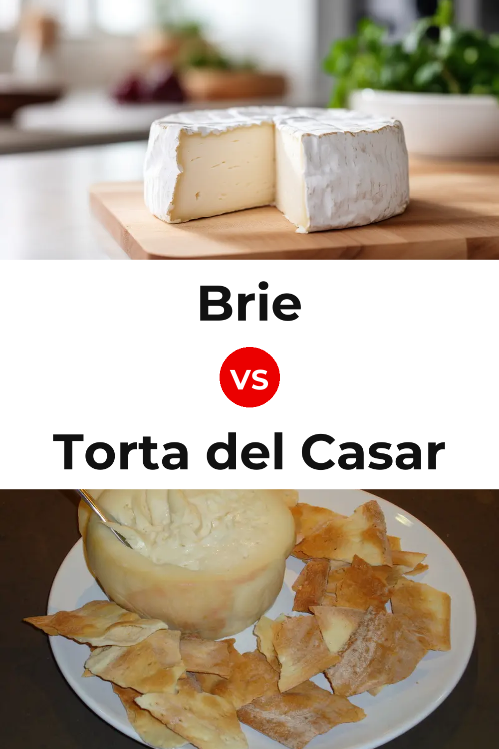 Brie Cheese vs Torta del Casar Cheese Pinterest comparison