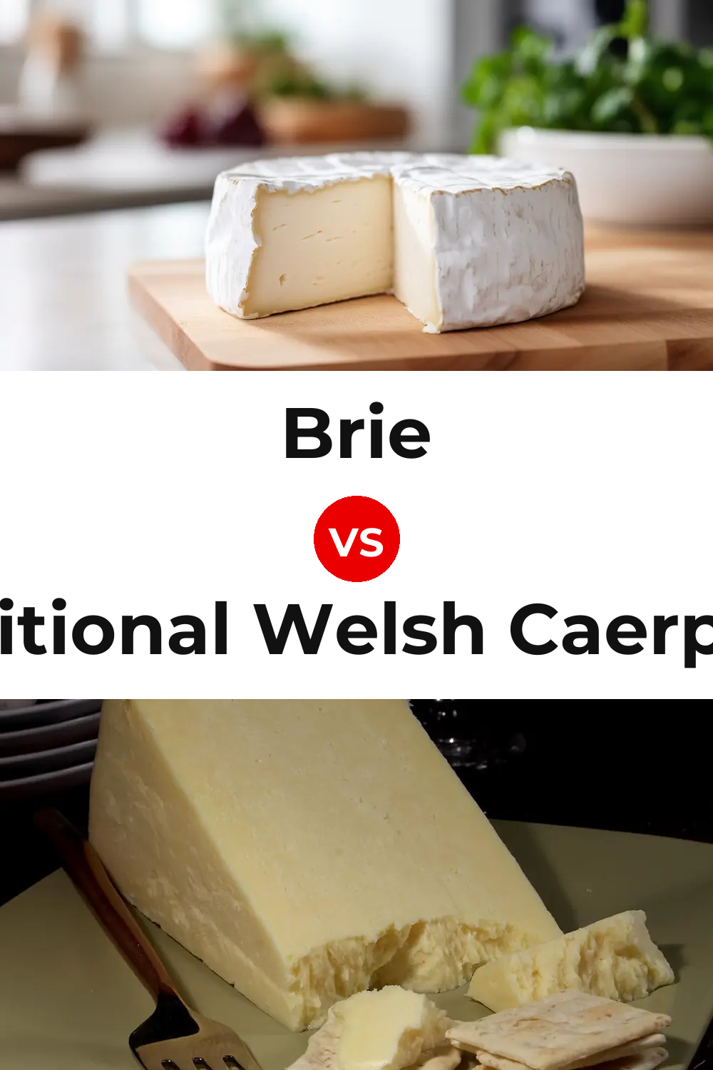 Brie Cheese vs Traditional Welsh Caerphilly Cheese Pinterest comparison