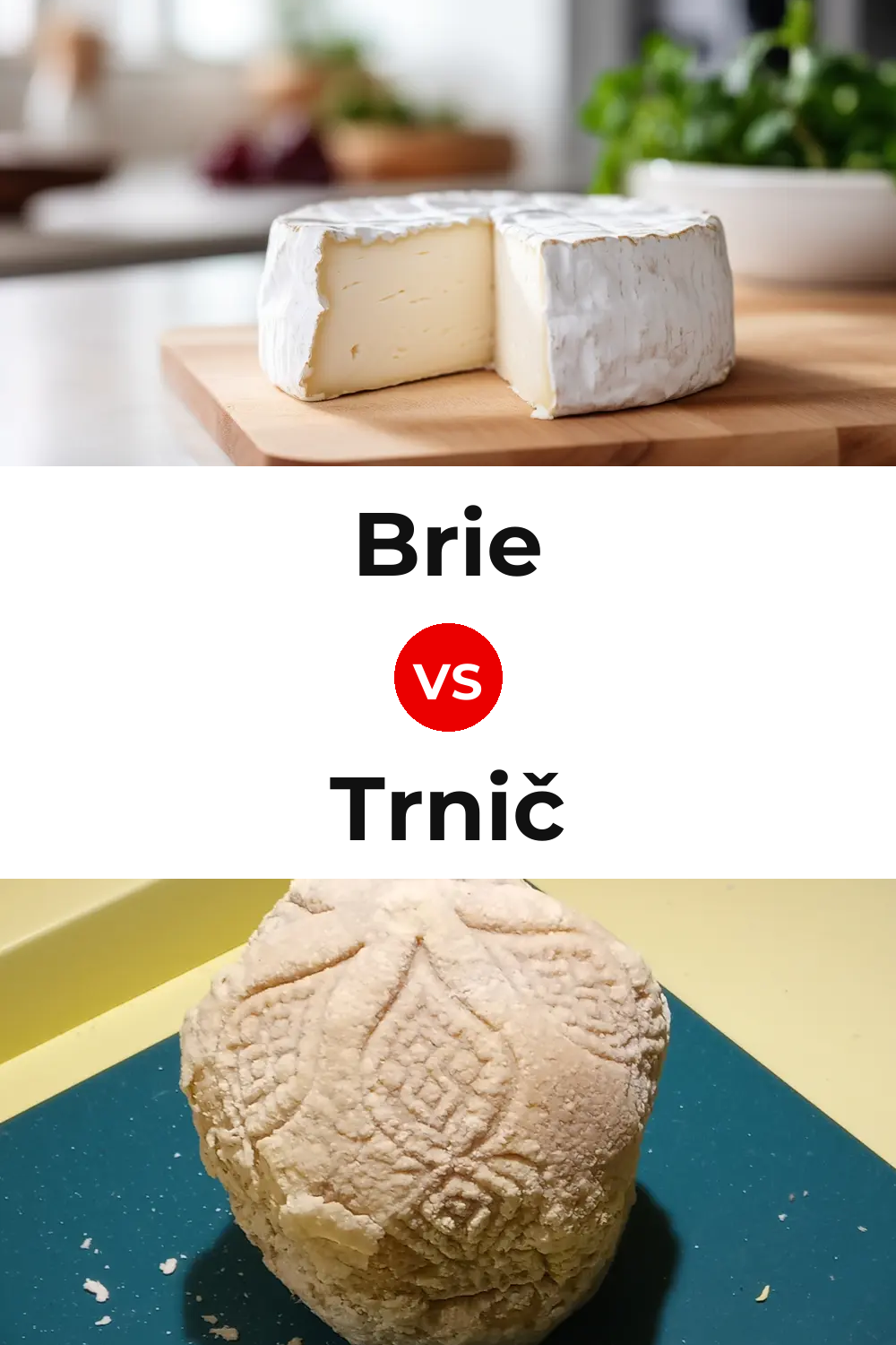 Brie Cheese vs Trnič Cheese Pinterest comparison