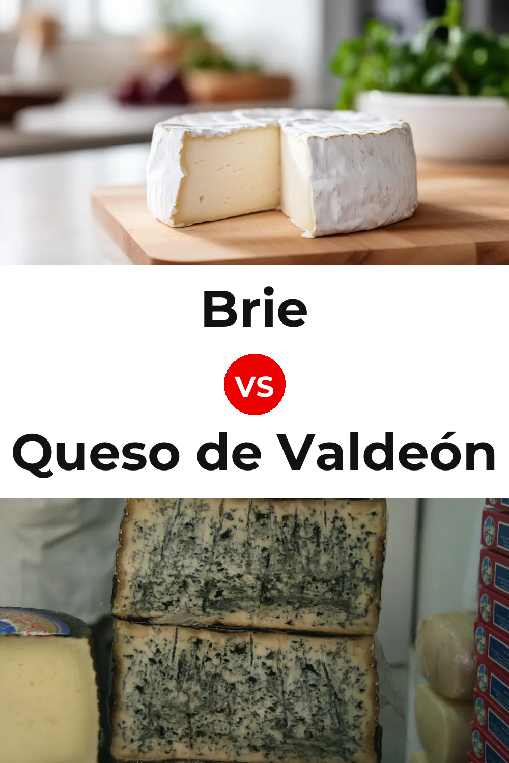 Brie Cheese vs Queso de Valdeón Pinterest comparison