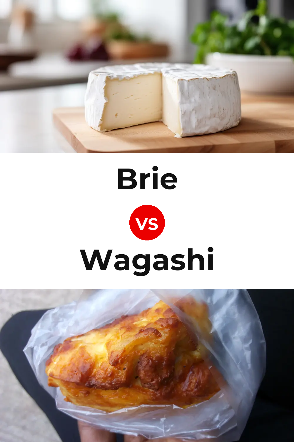 Brie Cheese vs Wagashi Cheese Pinterest comparison