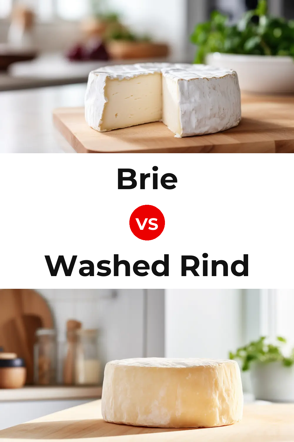Brie Cheese vs Washed Rind Cheese Pinterest comparison