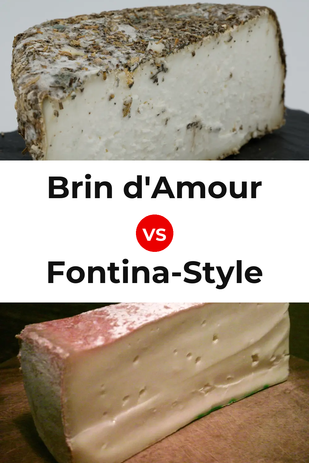 Brin d'Amour Cheese vs Fontina-Style Cheese Pinterest comparison