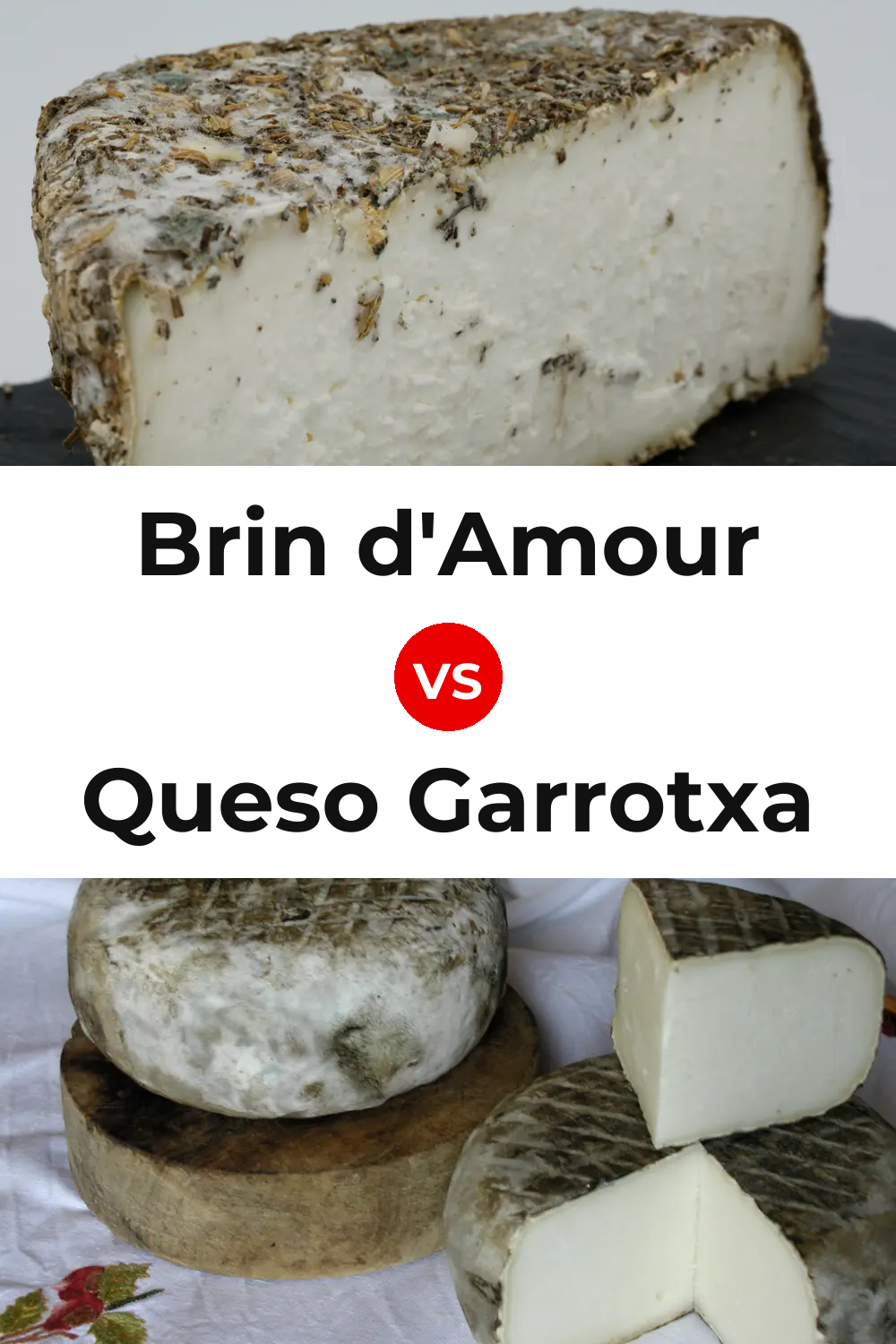 Brin d'Amour Cheese vs Queso Garrotxa Pinterest comparison