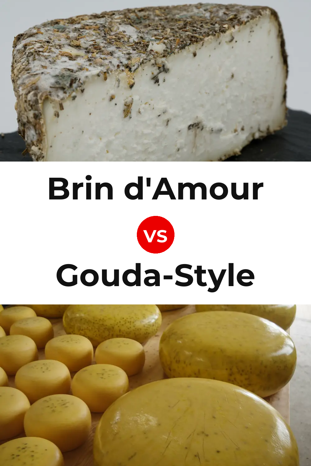 Brin d'Amour Cheese vs Gouda-Style Cheese Pinterest comparison