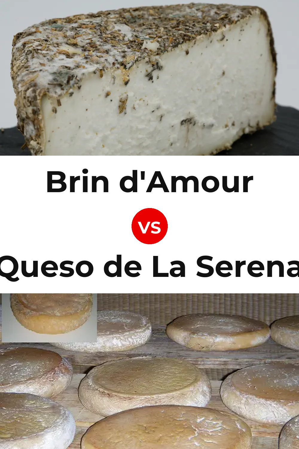 Brin d'Amour Cheese vs Queso de La Serena Pinterest comparison