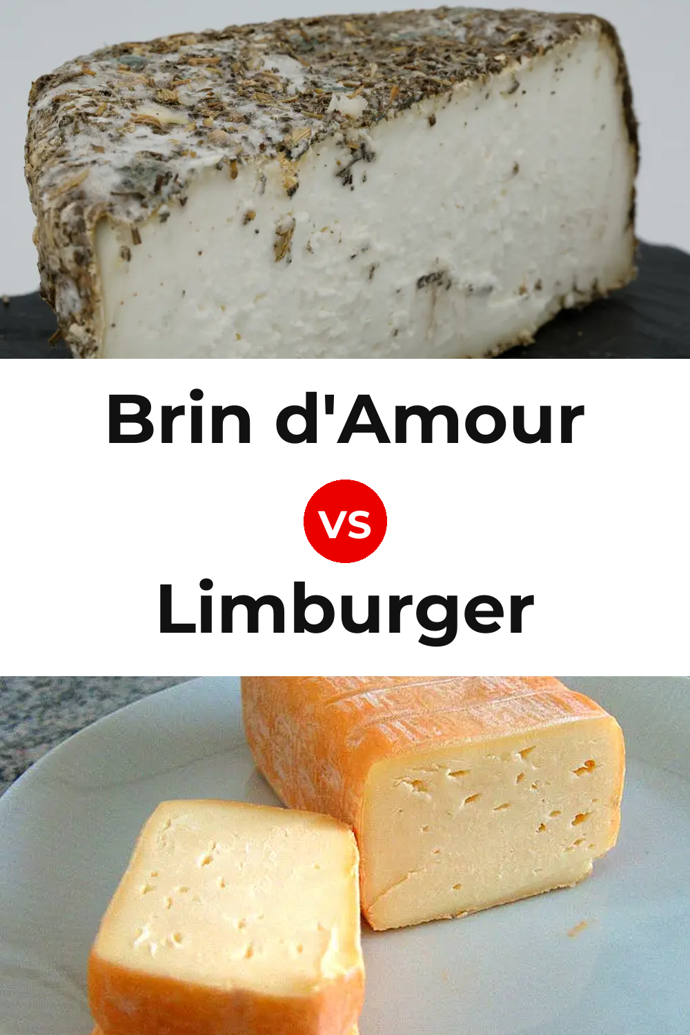 Brin d'Amour Cheese vs Limburger Cheese Pinterest comparison