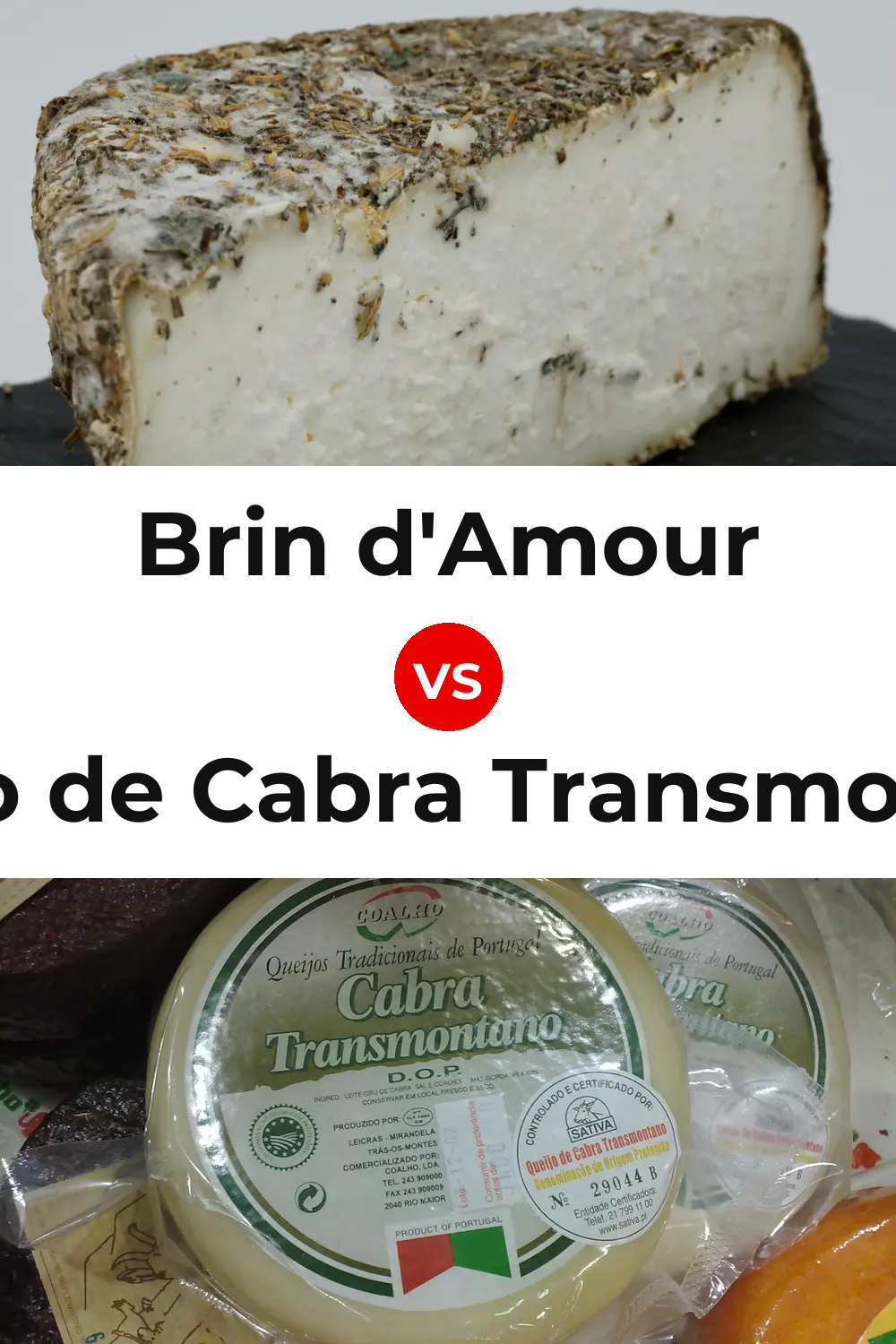 Brin d'Amour Cheese vs Queijo de Cabra Transmontano Pinterest comparison