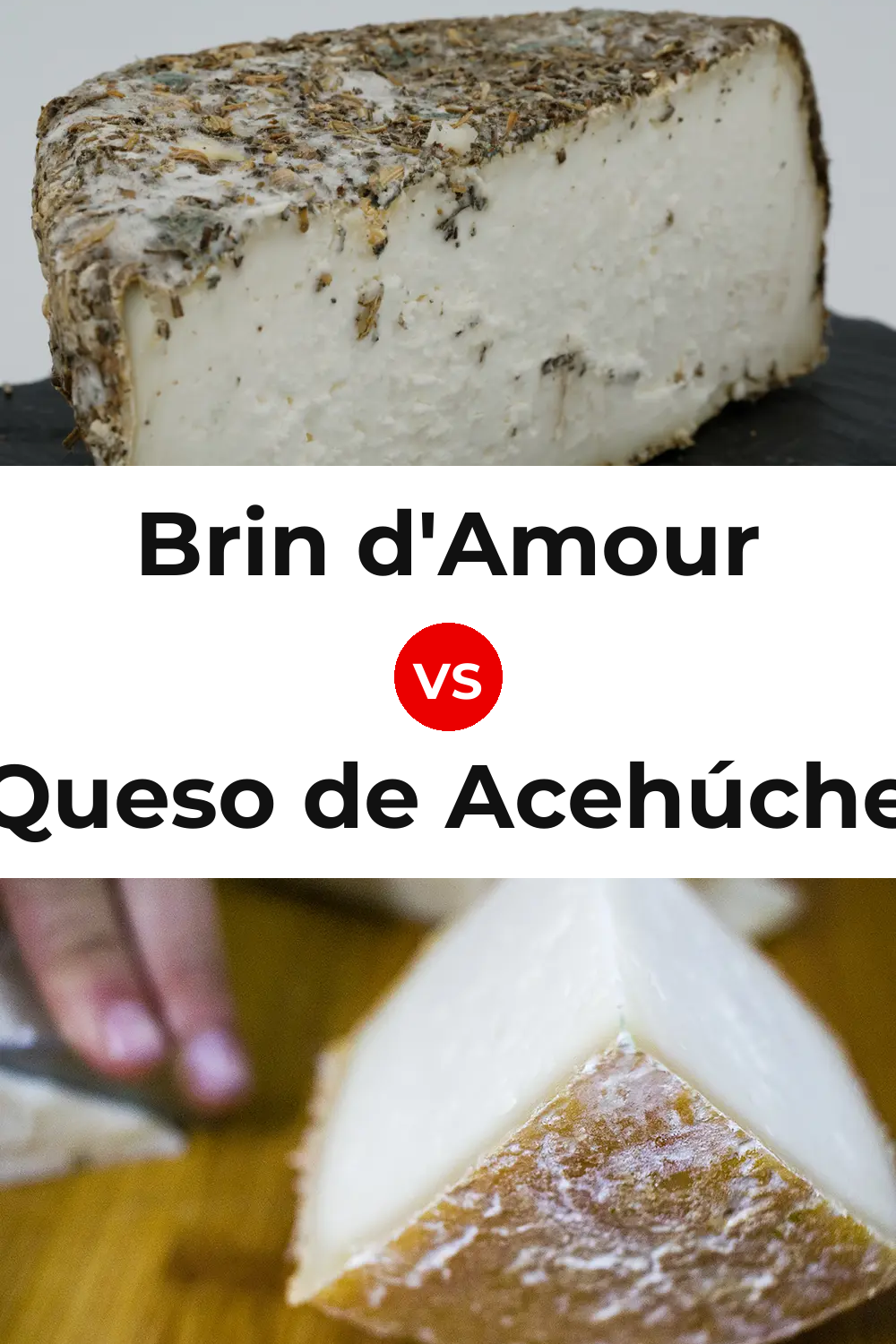 Brin d'Amour Cheese vs Queso de Acehúche Pinterest comparison