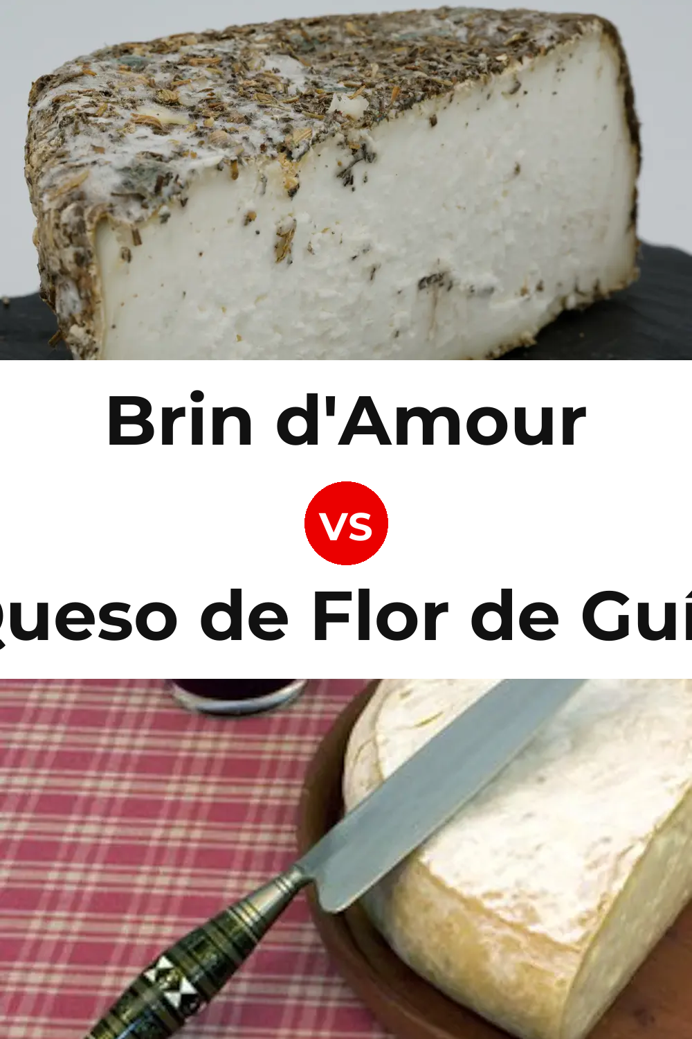 Brin d'Amour Cheese vs Queso de Flor de Guía Pinterest comparison