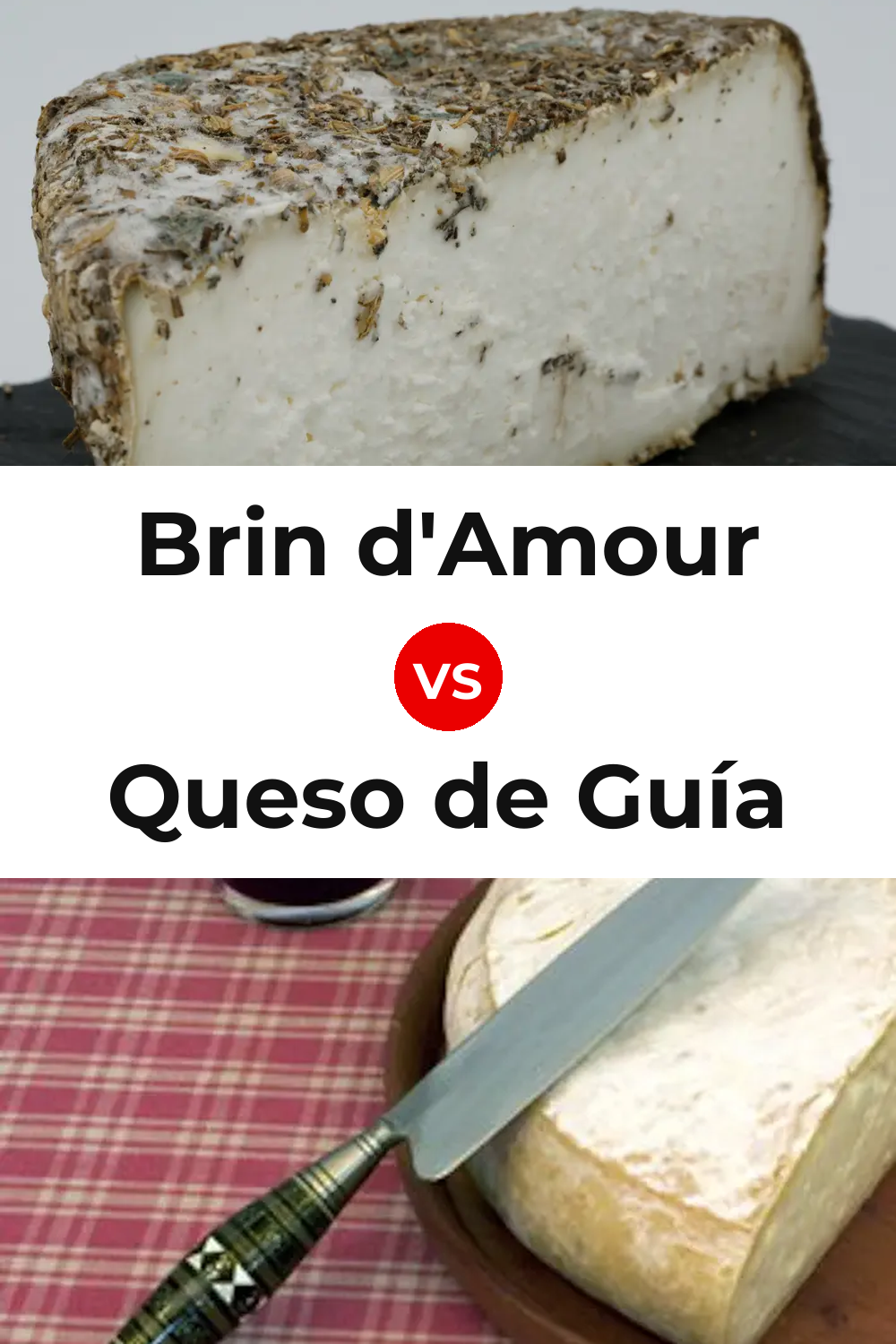 Brin d'Amour Cheese vs Queso de Guía Pinterest comparison
