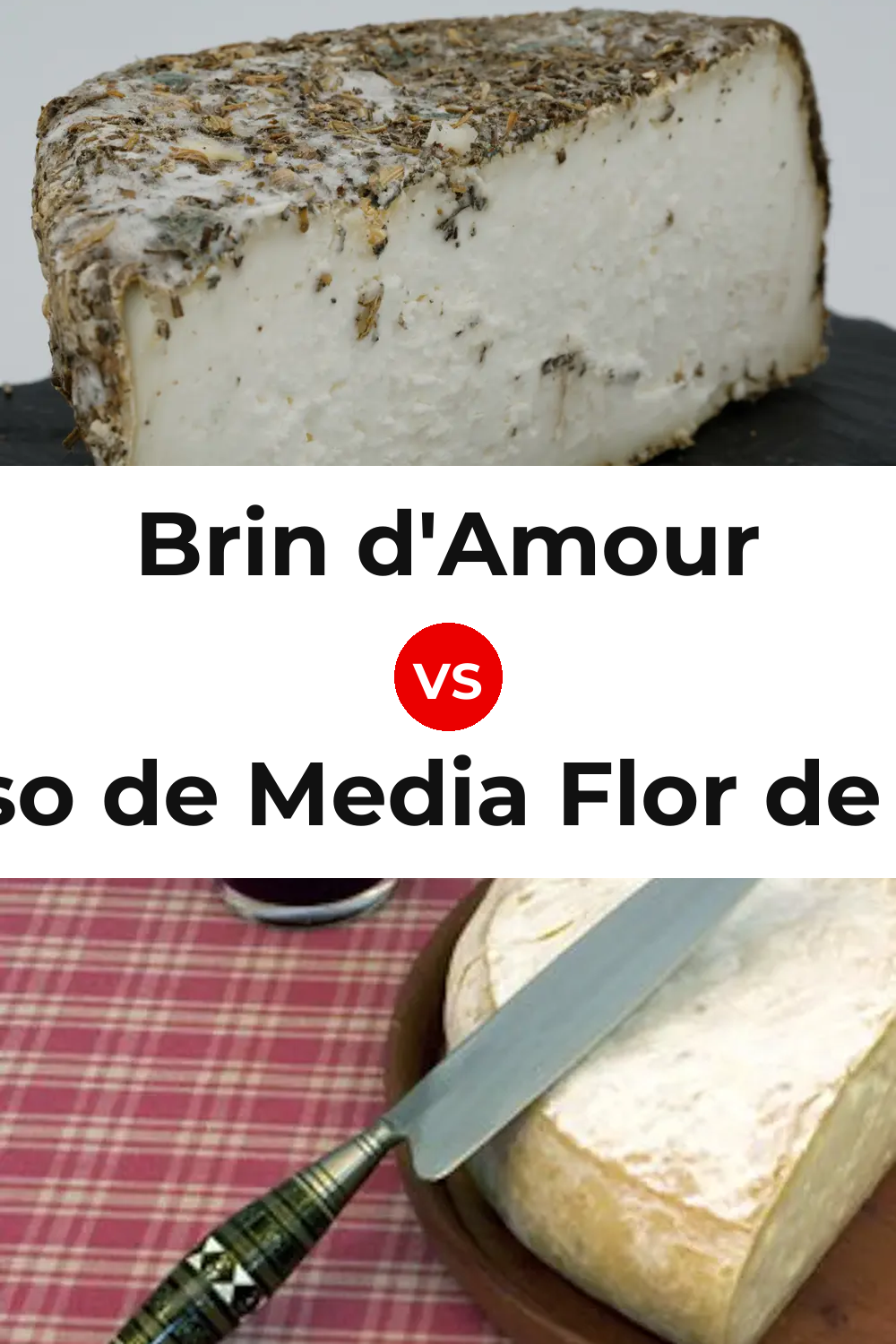 Brin d'Amour Cheese vs Queso de Media Flor de Guía Pinterest comparison