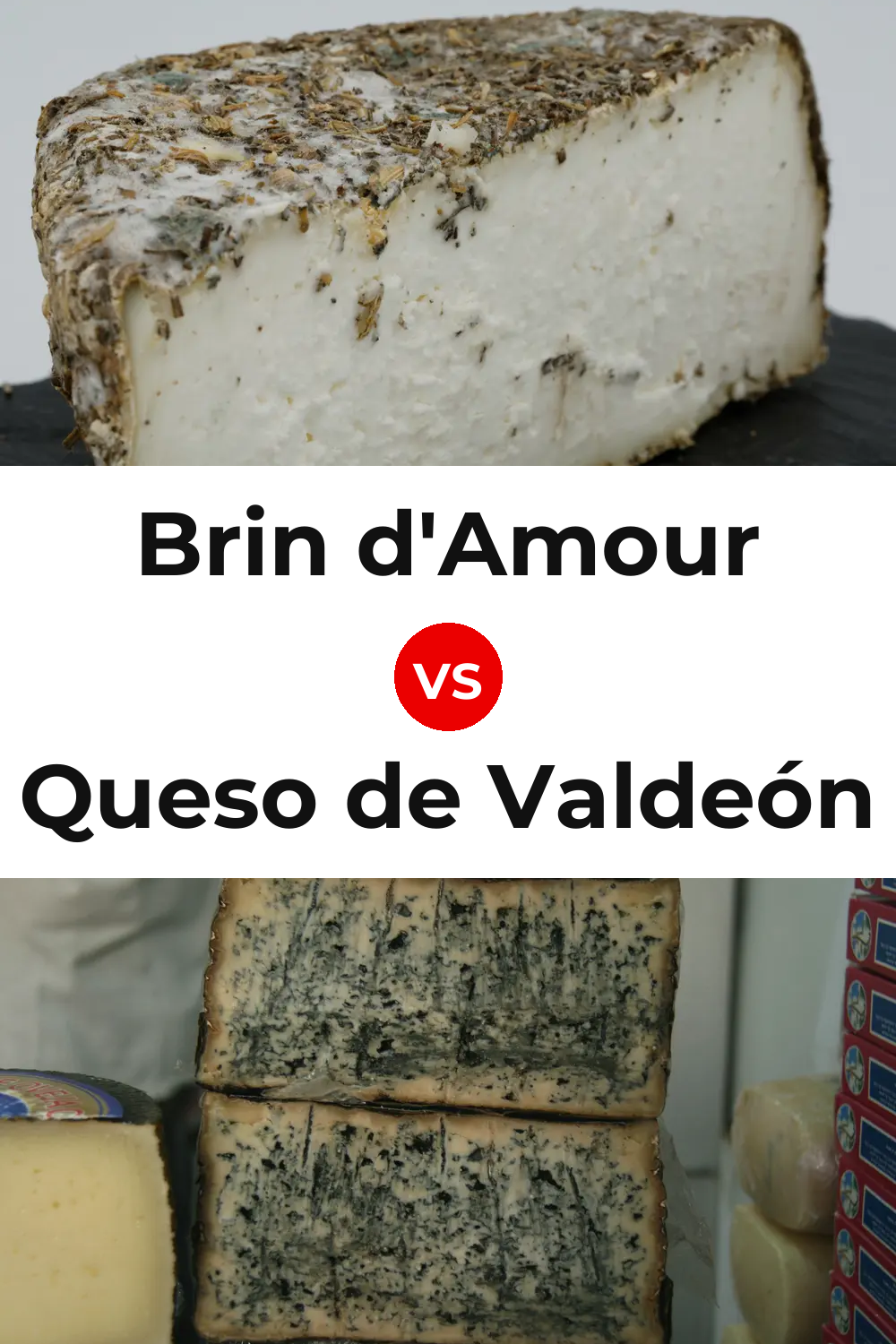 Brin d'Amour Cheese vs Queso de Valdeón Pinterest comparison