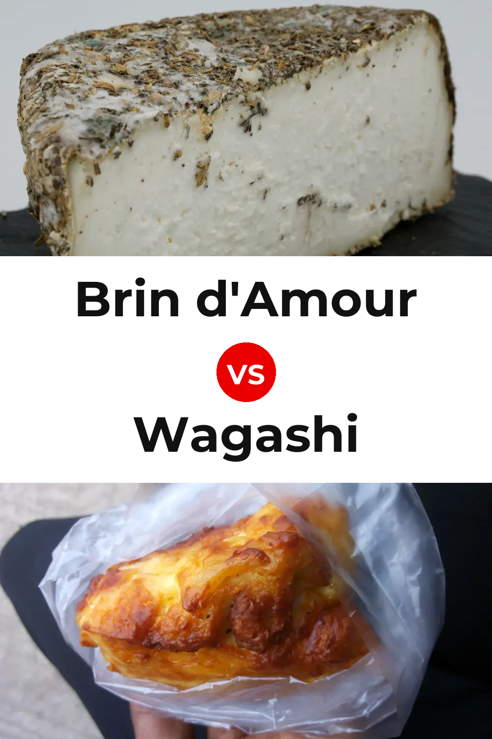 Brin d'Amour Cheese vs Wagashi Cheese Pinterest comparison
