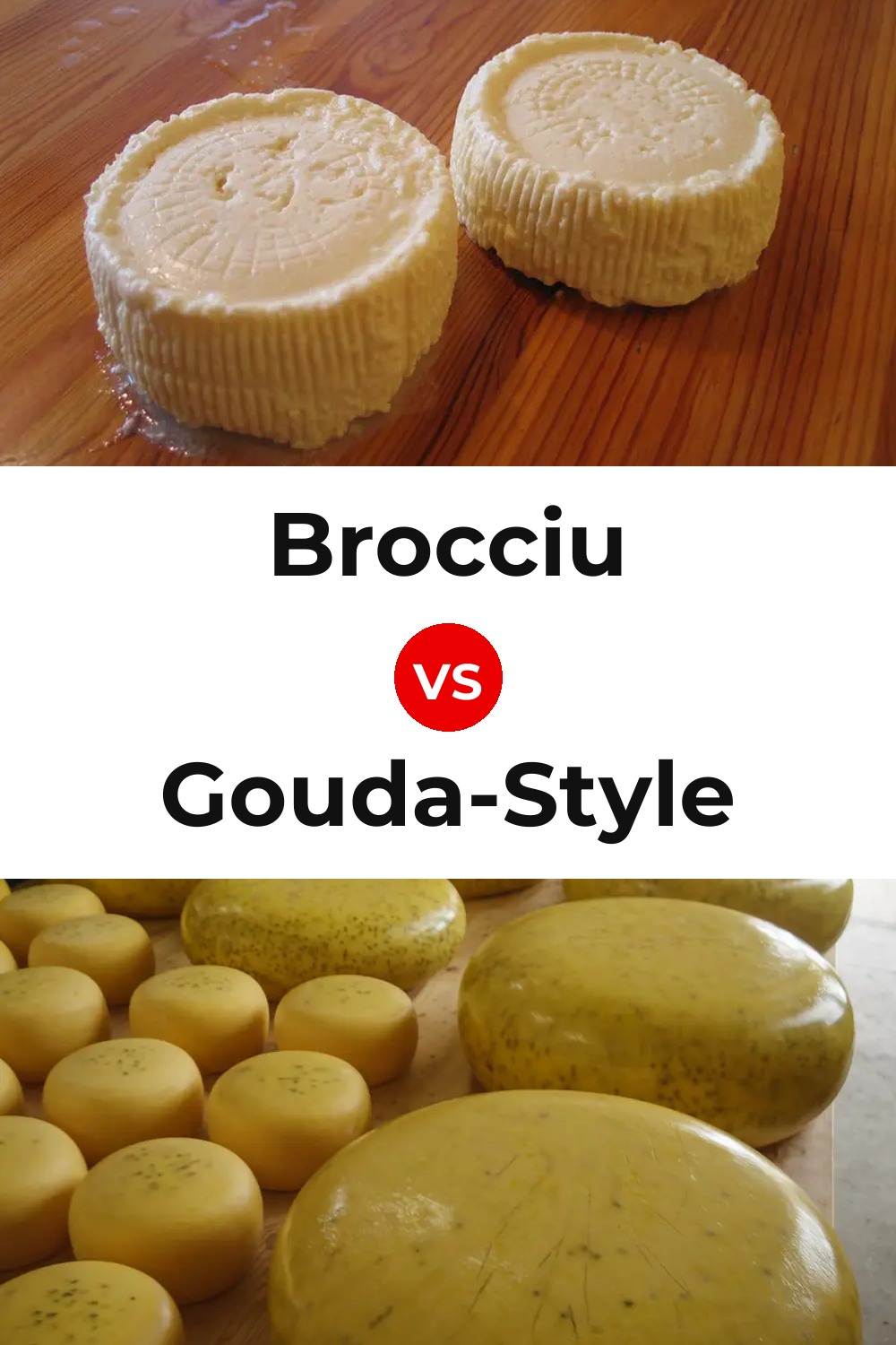 Brocciu Cheese vs Gouda-Style Cheese Pinterest comparison