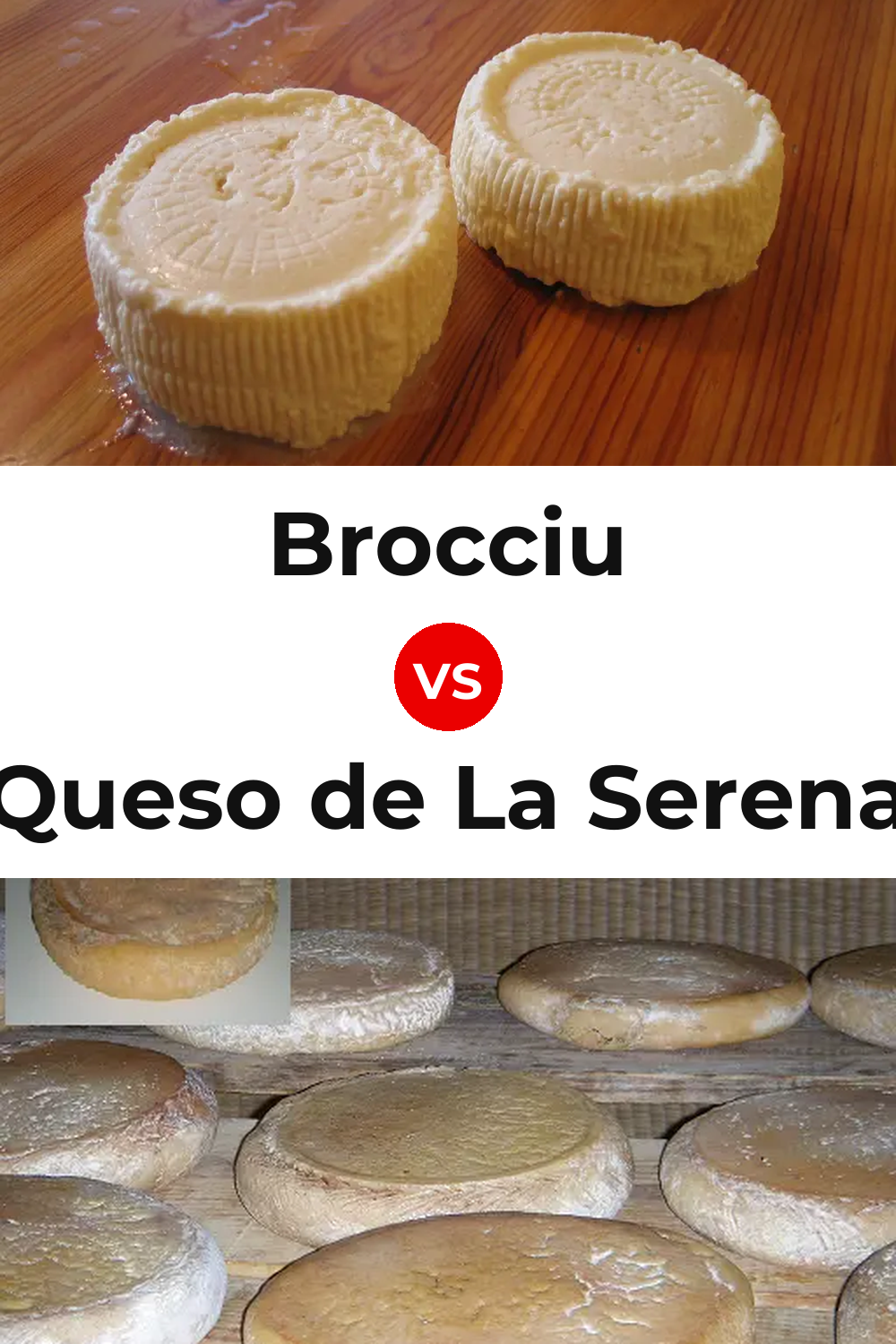 Brocciu Cheese vs Queso de La Serena Pinterest comparison