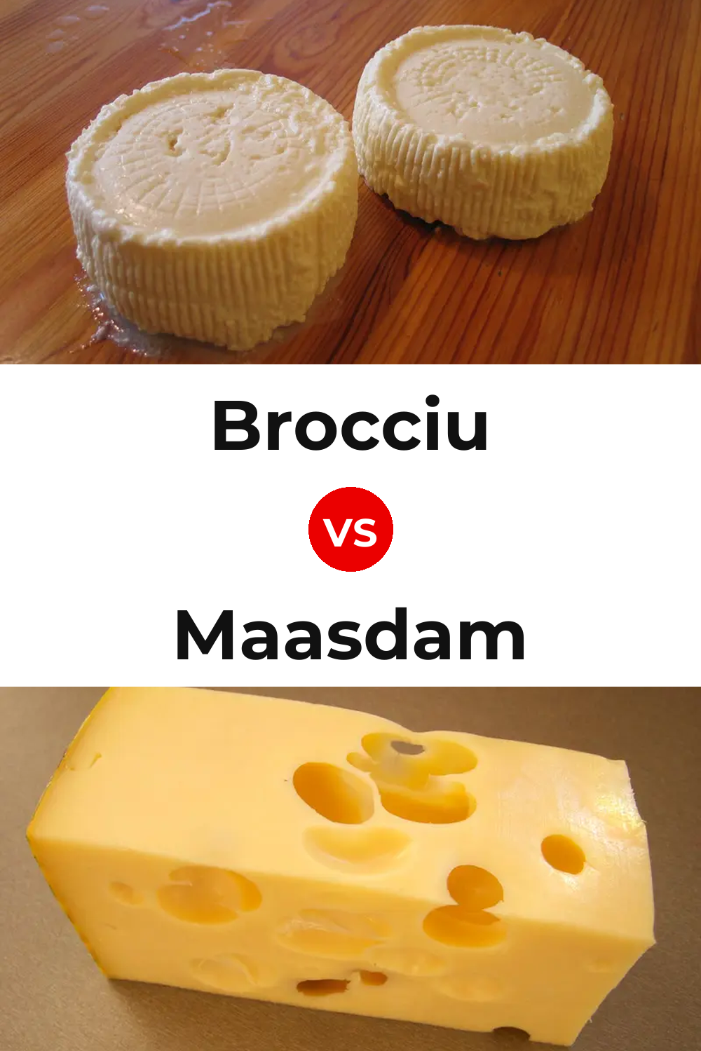 Brocciu Cheese vs Maasdam Cheese Pinterest comparison