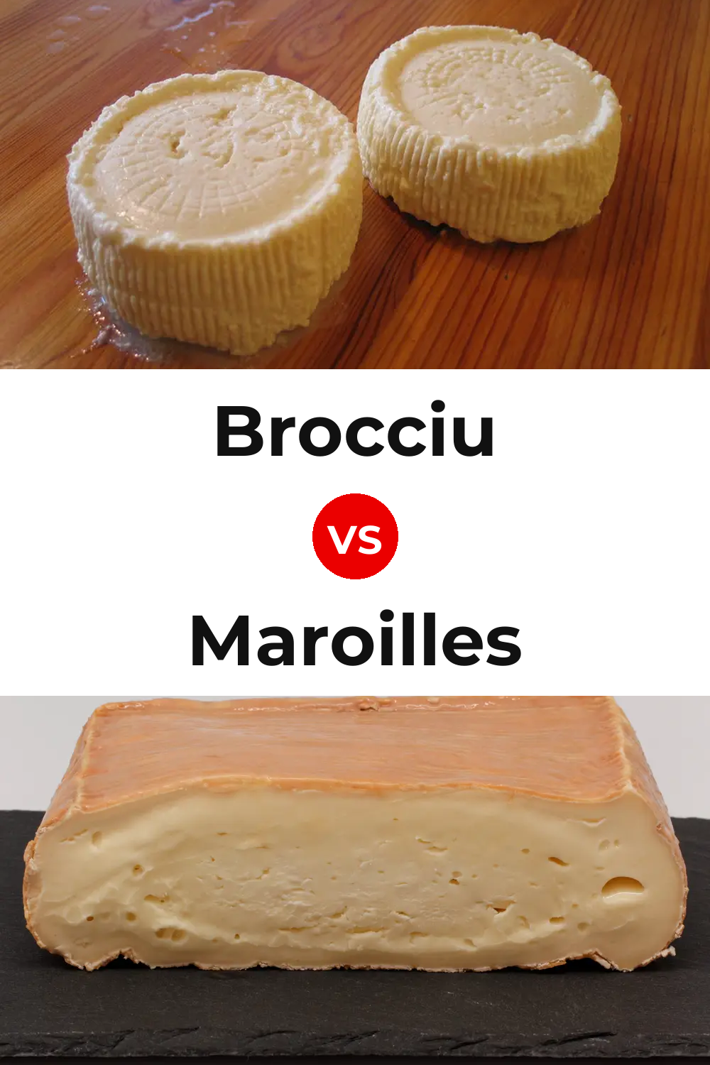 Brocciu Cheese vs Maroilles Cheese Pinterest comparison