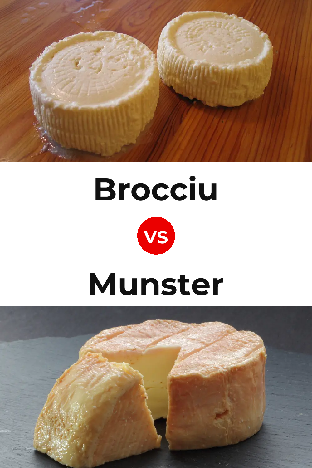 Brocciu Cheese vs Munster Cheese Pinterest comparison