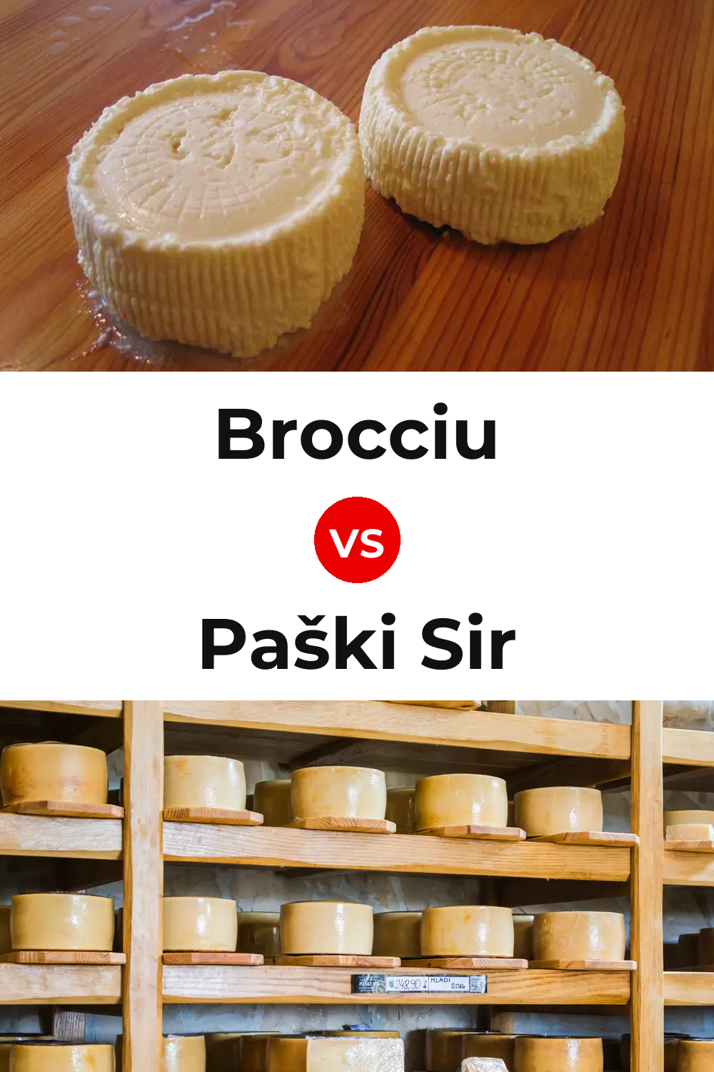 Brocciu Cheese vs Paški Sir Cheese Pinterest comparison