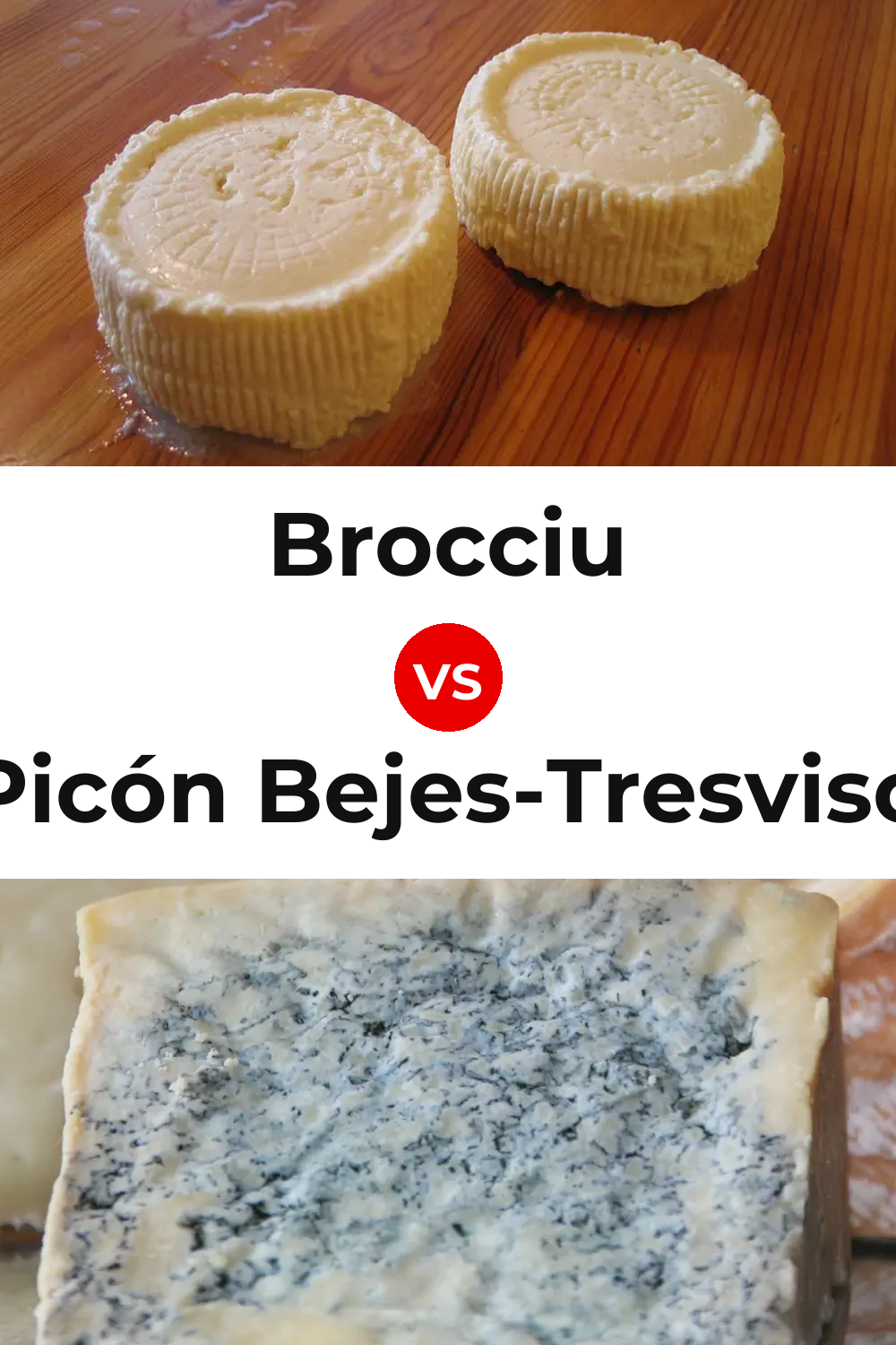 Brocciu Cheese vs Picón Bejes-Tresviso Cheese Pinterest comparison