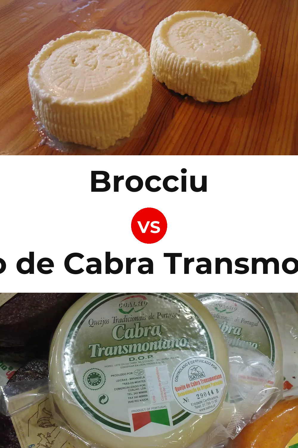 Brocciu Cheese vs Queijo de Cabra Transmontano Pinterest comparison