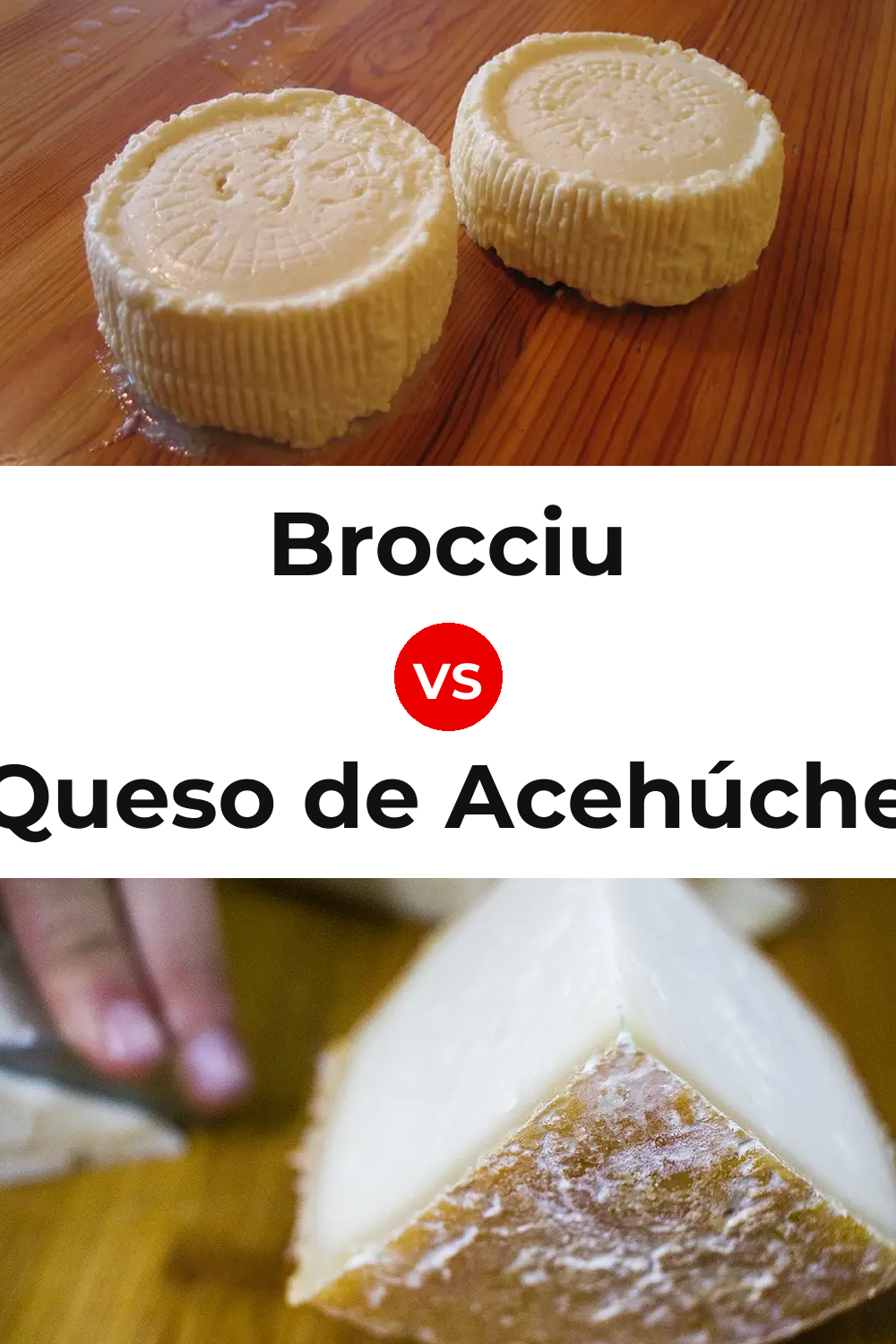 Brocciu Cheese vs Queso de Acehúche Pinterest comparison