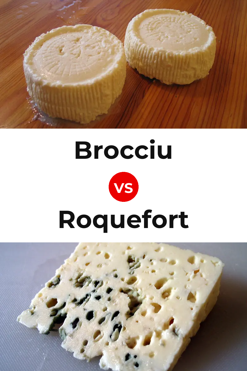 Brocciu Cheese vs Roquefort Cheese Pinterest comparison