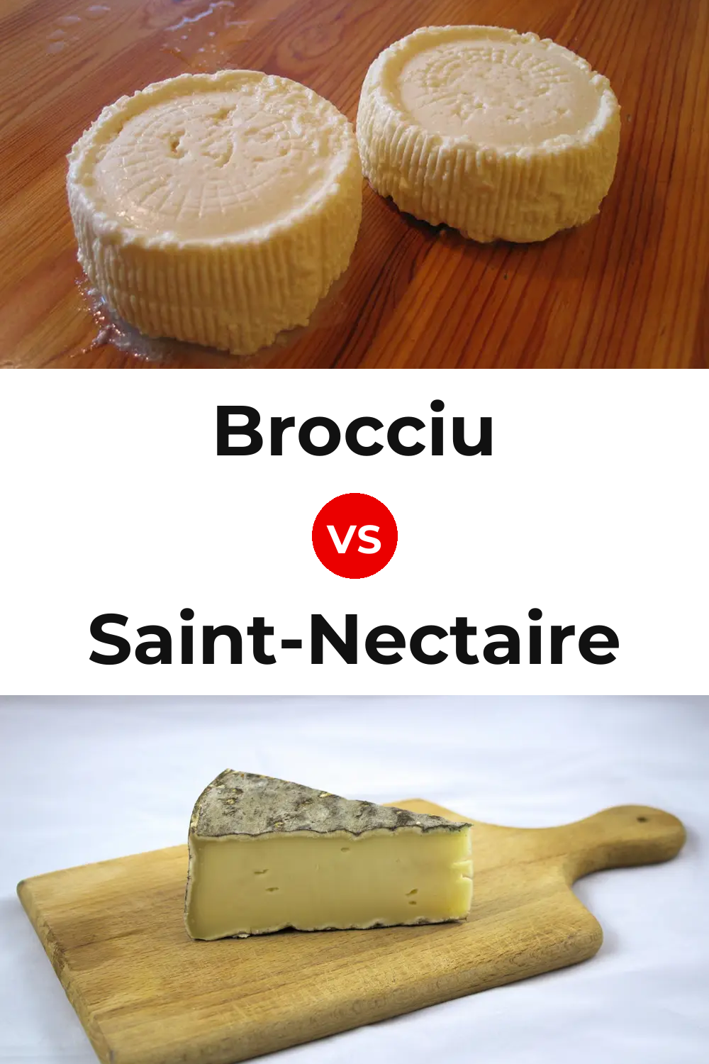 Brocciu Cheese vs Saint-Nectaire Cheese Pinterest comparison