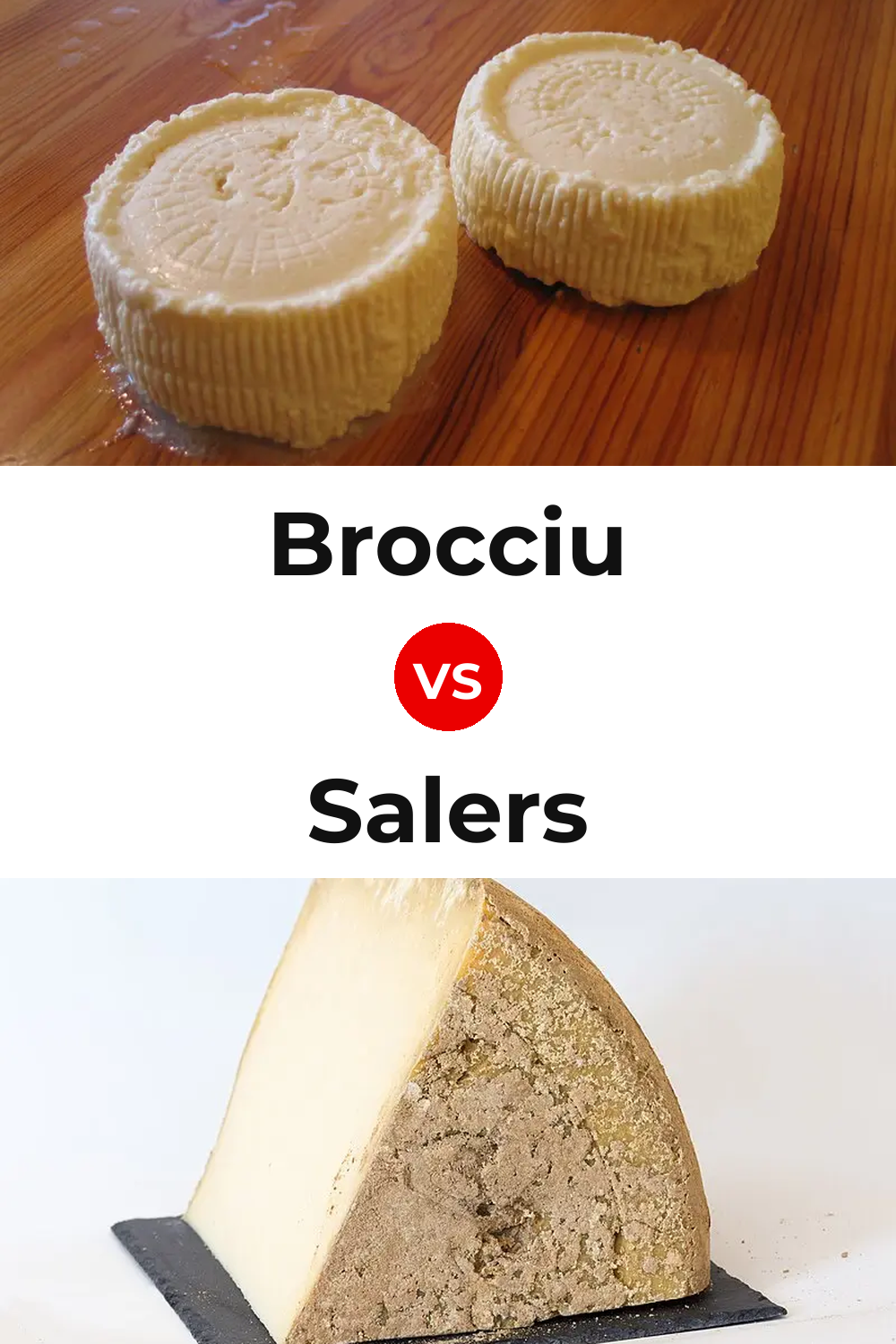 Brocciu Cheese vs Salers Cheese Pinterest comparison