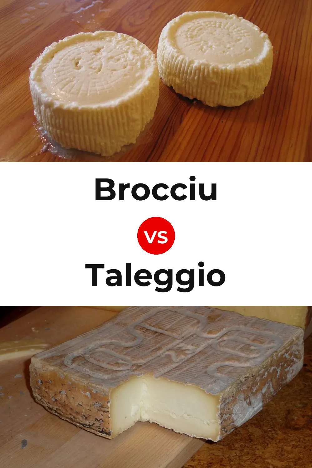 Brocciu Cheese vs Taleggio Cheese Pinterest comparison