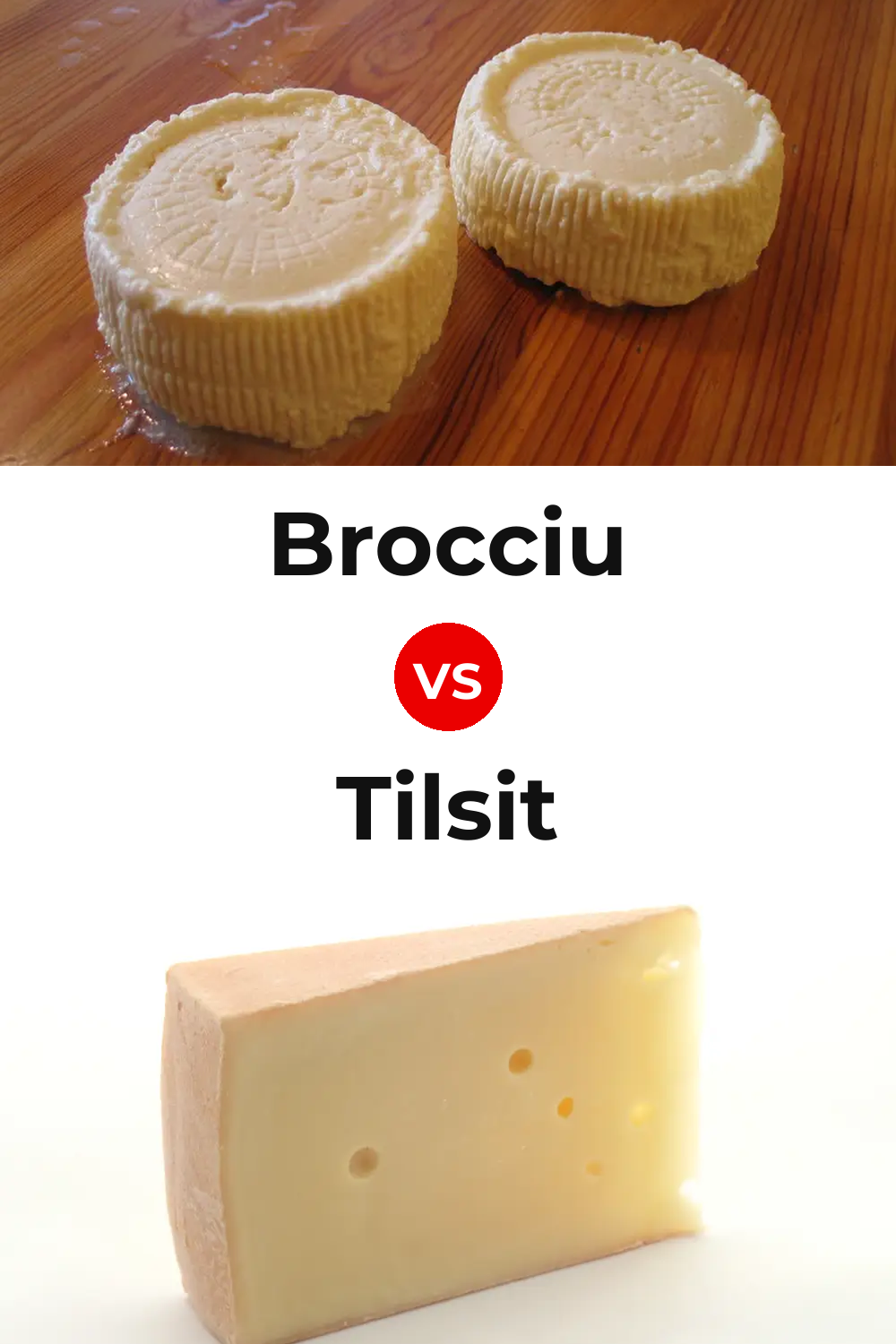 Brocciu Cheese vs Tilsit Cheese Pinterest comparison