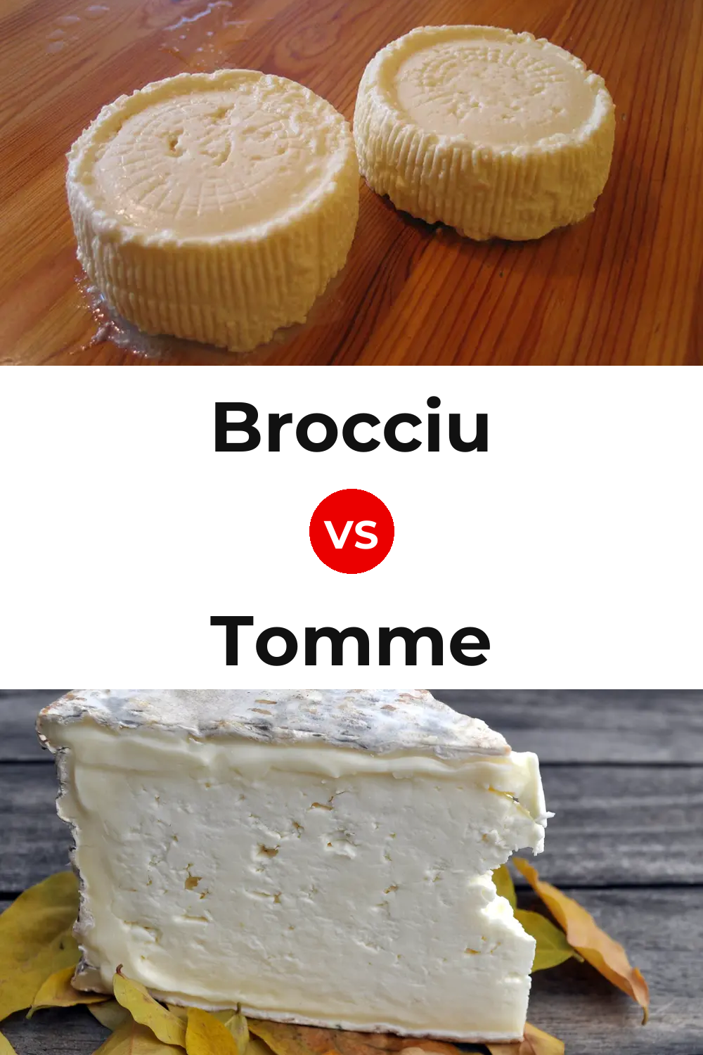Brocciu Cheese vs Tomme Cheese Pinterest comparison