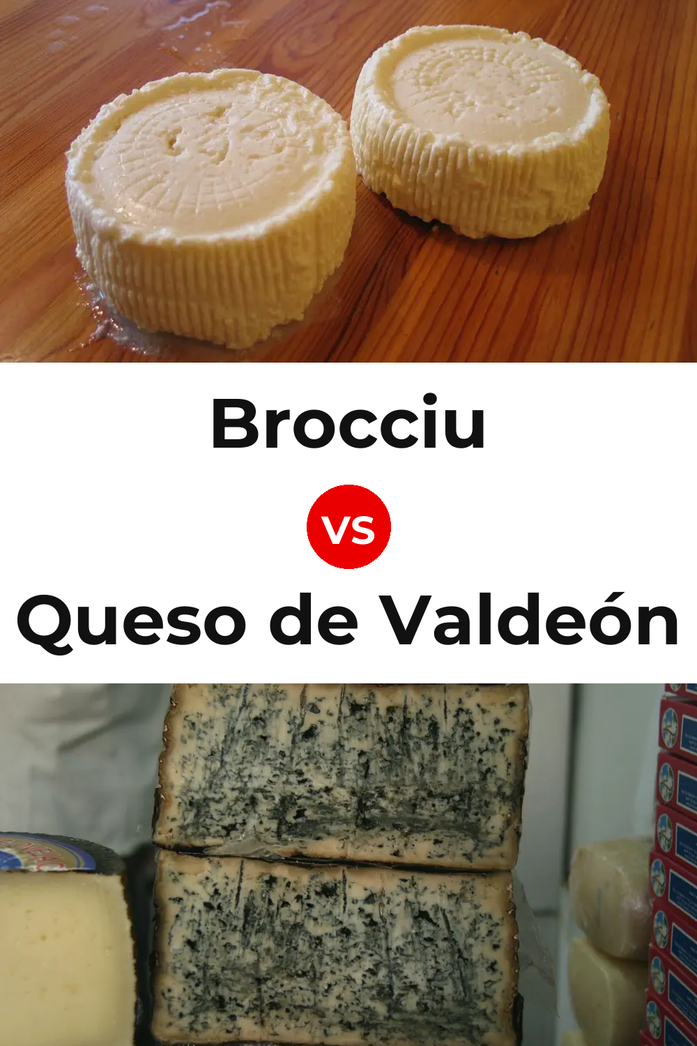 Brocciu Cheese vs Queso de Valdeón Pinterest comparison